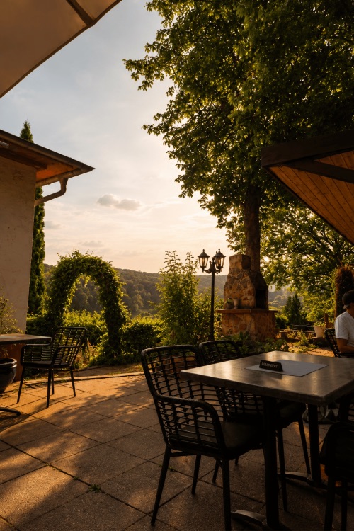 Gedeckter Tisch auf der Terrasse mit Rosenbogen und Blick ins Harzvorland